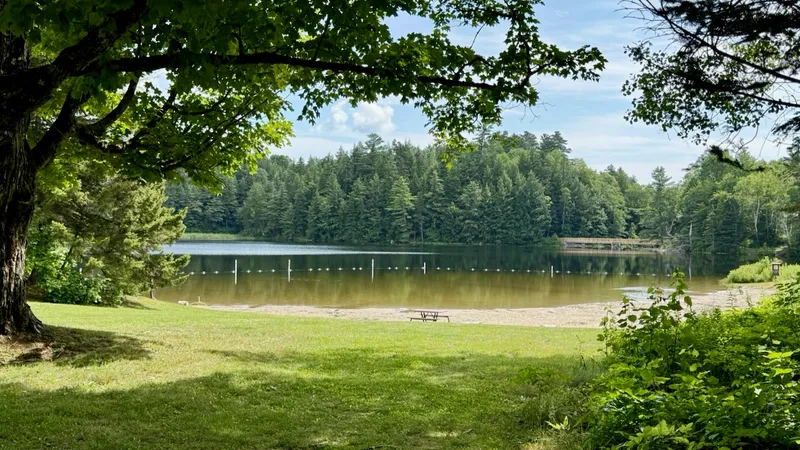 a quiet forest lake with a sandy swimming beach and a picnic table, framed by a large maple tree